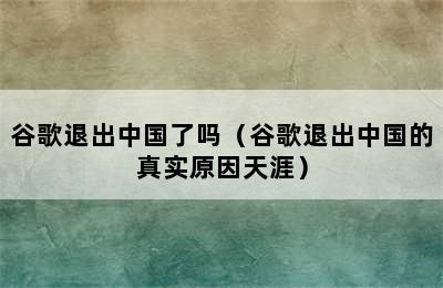 谷歌退出中国了吗（谷歌退出中国的真实原因天涯）