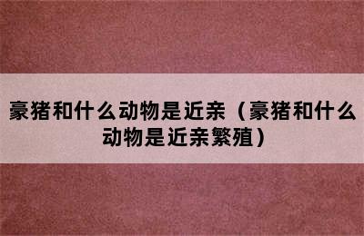 豪猪和什么动物是近亲（豪猪和什么动物是近亲繁殖）