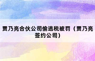 贾乃亮合伙公司偷逃税被罚（贾乃亮签约公司）