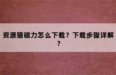 资源猫磁力怎么下载？下载步骤详解？