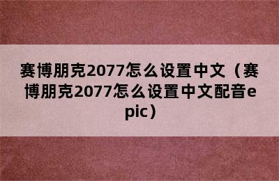 赛博朋克2077怎么设置中文（赛博朋克2077怎么设置中文配音epic）