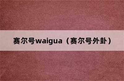 赛尔号waigua（赛尔号外卦）