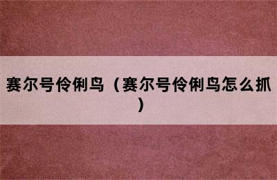 赛尔号伶俐鸟（赛尔号伶俐鸟怎么抓）