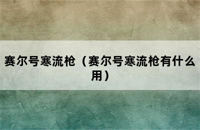 赛尔号寒流枪（赛尔号寒流枪有什么用）