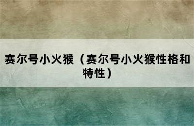 赛尔号小火猴（赛尔号小火猴性格和特性）