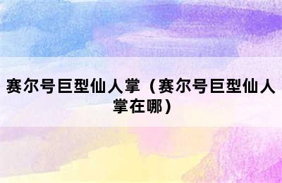 赛尔号巨型仙人掌（赛尔号巨型仙人掌在哪）