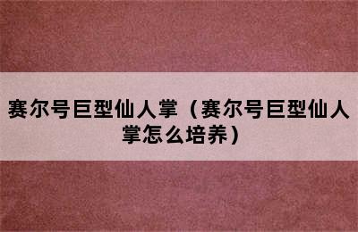 赛尔号巨型仙人掌（赛尔号巨型仙人掌怎么培养）