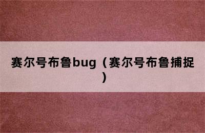 赛尔号布鲁bug（赛尔号布鲁捕捉）