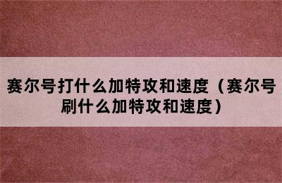 赛尔号打什么加特攻和速度（赛尔号刷什么加特攻和速度）