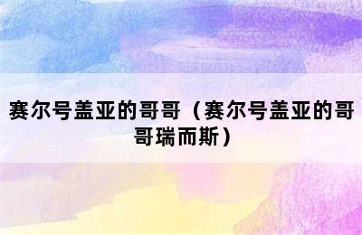 赛尔号盖亚的哥哥（赛尔号盖亚的哥哥瑞而斯）