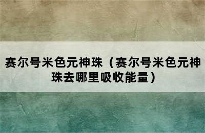 赛尔号米色元神珠（赛尔号米色元神珠去哪里吸收能量）