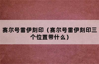 赛尔号雷伊刻印（赛尔号雷伊刻印三个位置带什么）