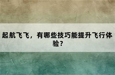 起航飞飞，有哪些技巧能提升飞行体验？