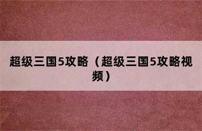 超级三国5攻略（超级三国5攻略视频）