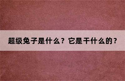 超级兔子是什么？它是干什么的？