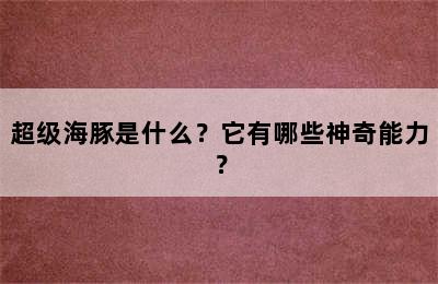 超级海豚是什么？它有哪些神奇能力？