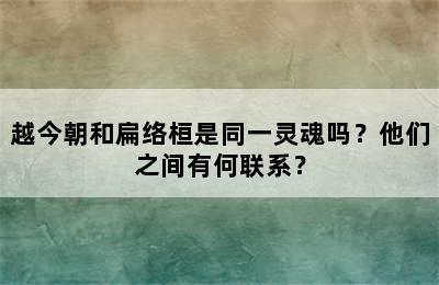 越今朝和扁络桓是同一灵魂吗？他们之间有何联系？