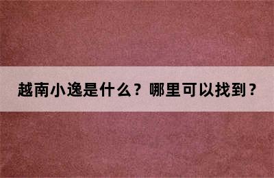 越南小逸是什么？哪里可以找到？