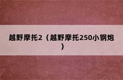 越野摩托2（越野摩托250小钢炮）