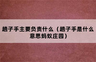 趟子手主要负责什么（趟子手是什么意思蚂蚁庄园）