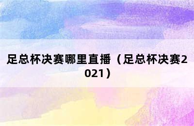 足总杯决赛哪里直播（足总杯决赛2021）