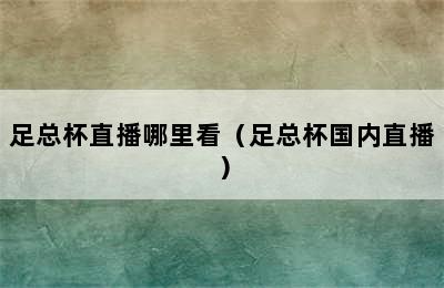 足总杯直播哪里看（足总杯国内直播）