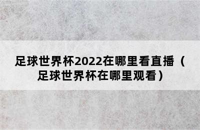 足球世界杯2022在哪里看直播（足球世界杯在哪里观看）