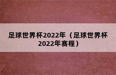 足球世界杯2022年（足球世界杯2022年赛程）