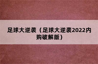 足球大逆袭（足球大逆袭2022内购破解版）