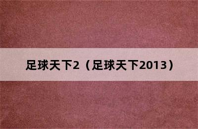 足球天下2（足球天下2013）