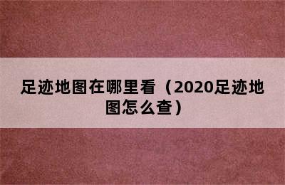 足迹地图在哪里看（2020足迹地图怎么查）