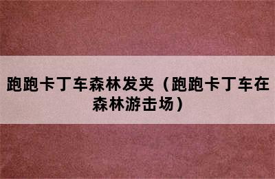 跑跑卡丁车森林发夹（跑跑卡丁车在森林游击场）