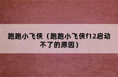 跑跑小飞侠（跑跑小飞侠f12启动不了的原因）