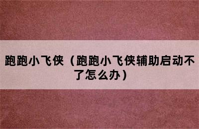 跑跑小飞侠（跑跑小飞侠辅助启动不了怎么办）