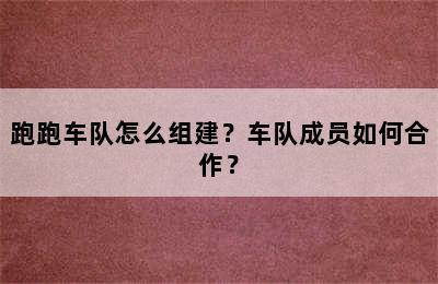 跑跑车队怎么组建？车队成员如何合作？