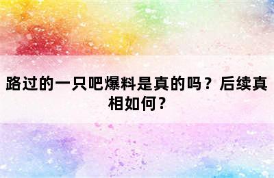 路过的一只吧爆料是真的吗？后续真相如何？