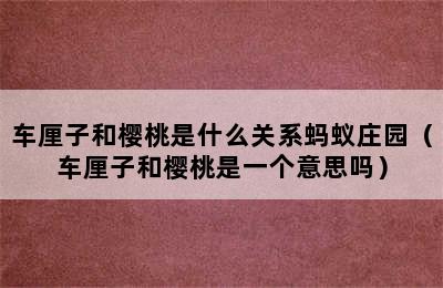 车厘子和樱桃是什么关系蚂蚁庄园（车厘子和樱桃是一个意思吗）