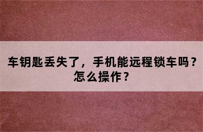 车钥匙丢失了，手机能远程锁车吗？怎么操作？