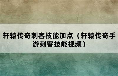 轩辕传奇刺客技能加点（轩辕传奇手游刺客技能视频）