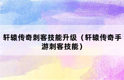 轩辕传奇刺客技能升级（轩辕传奇手游刺客技能）