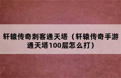 轩辕传奇刺客通天塔（轩辕传奇手游通天塔100层怎么打）