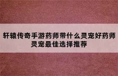 轩辕传奇手游药师带什么灵宠好药师灵宠最佳选择推荐