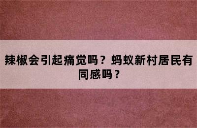 辣椒会引起痛觉吗？蚂蚁新村居民有同感吗？