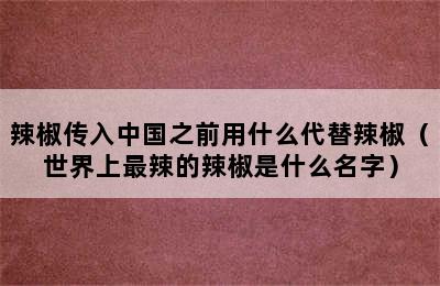 辣椒传入中国之前用什么代替辣椒（世界上最辣的辣椒是什么名字）