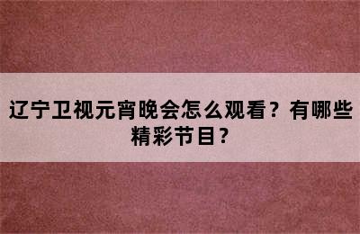 辽宁卫视元宵晚会怎么观看？有哪些精彩节目？