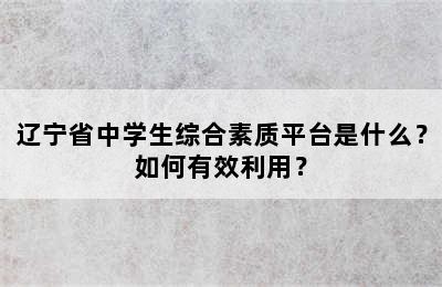 辽宁省中学生综合素质平台是什么？如何有效利用？
