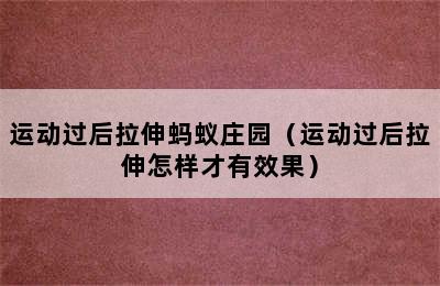 运动过后拉伸蚂蚁庄园（运动过后拉伸怎样才有效果）