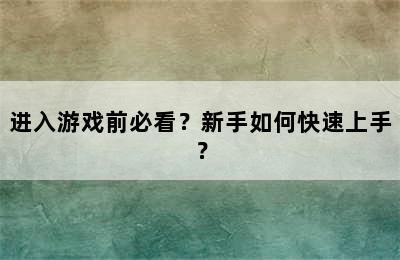 进入游戏前必看？新手如何快速上手？