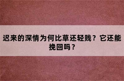 迟来的深情为何比草还轻贱？它还能挽回吗？