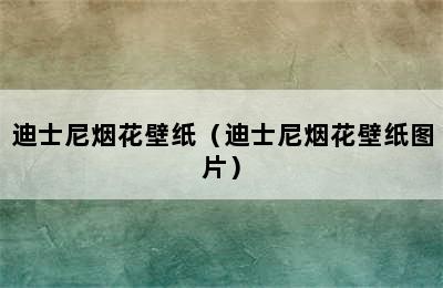 迪士尼烟花壁纸（迪士尼烟花壁纸图片）